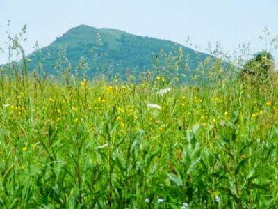 Caloroczne Domki Zacisze Hnatowego Berda W Wetlinie เวทลีนา ภายนอก รูปภาพ