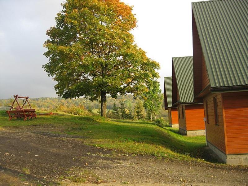 Caloroczne Domki Zacisze Hnatowego Berda W Wetlinie เวทลีนา ภายนอก รูปภาพ